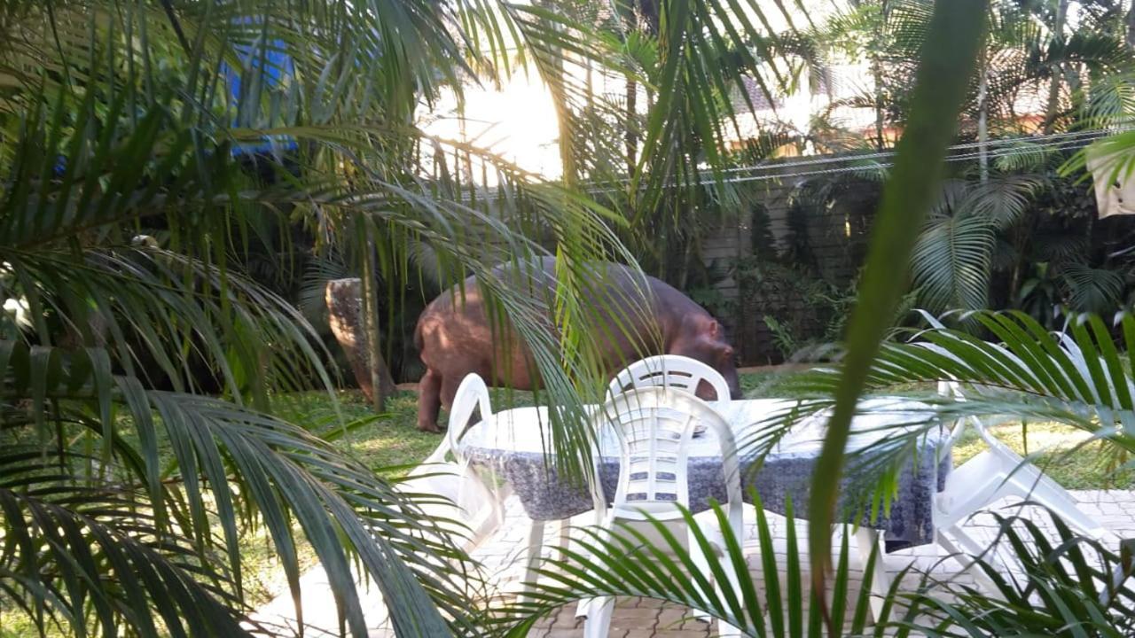 Lake St Lucia Lodge المظهر الخارجي الصورة