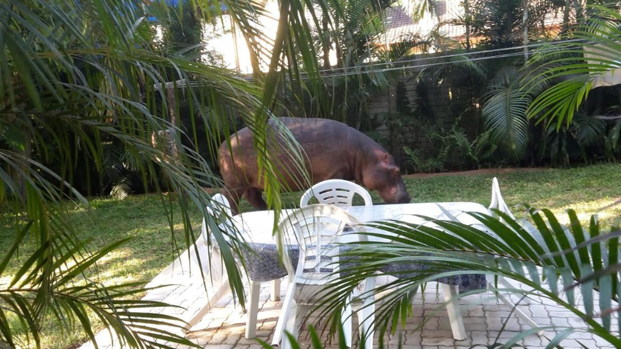 Lake St Lucia Lodge المظهر الخارجي الصورة