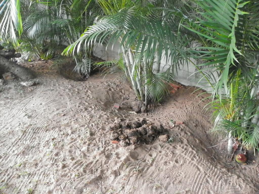 Lake St Lucia Lodge المظهر الخارجي الصورة