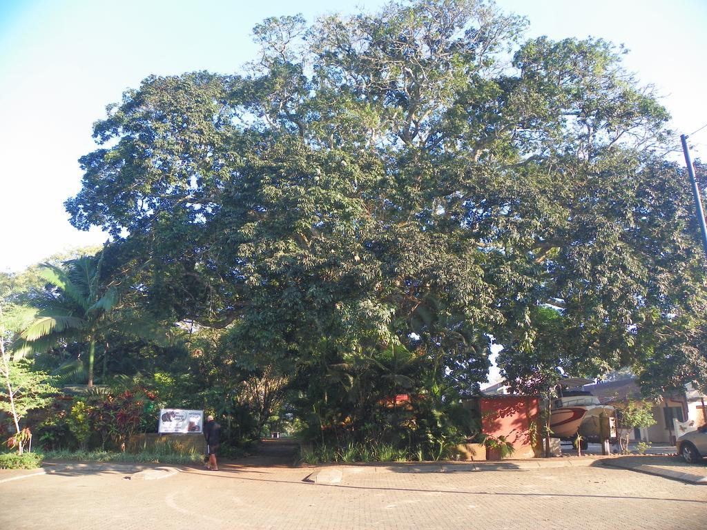 Lake St Lucia Lodge المظهر الخارجي الصورة